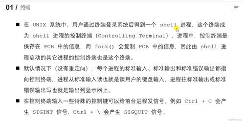 掩护的近义词四年级，掩护近义词是什么词