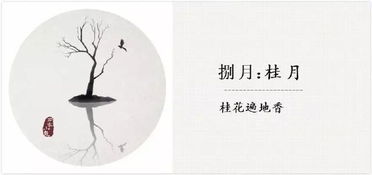 三月份的代表物品是什么
