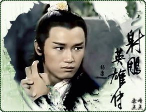 杨康是什么意思