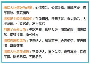 纯的组词有哪些词语