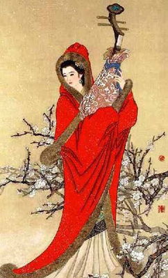 昭君出塞图古诗，昭君出塞图古诗翻译