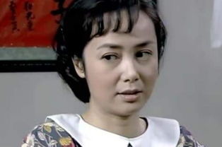 文丽是哪部电视剧，文丽和明道隔了多大
