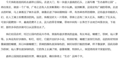 寒假趣事作文400字