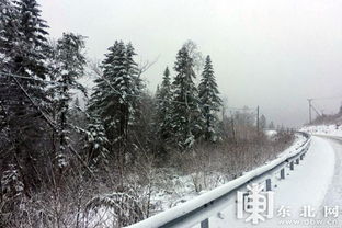 黑龙江首场降雪在哪里漠河现在的气温是多少度