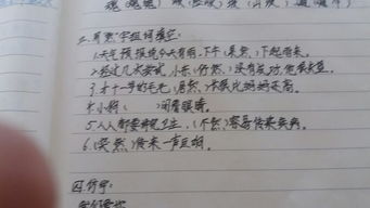 苟字组词，狗字组词一年级简单