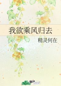 我欲乘风归去又恐琼楼玉宇啥意思，我欲乘风归去歌曲