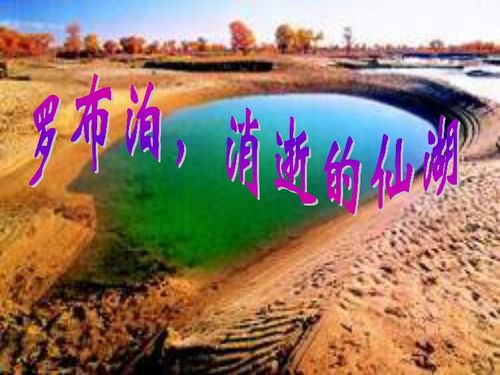 罗布泊消逝的仙湖阅读理解答案，罗布泊消逝的仙湖是八年级下册第几课原文