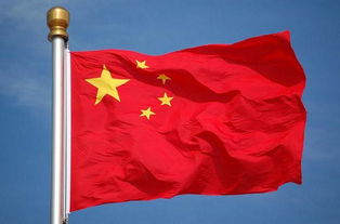 一什么招旗量词