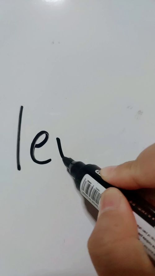 level是什么意思