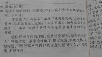 内卷作文800字议论文，高考范文800字议论文