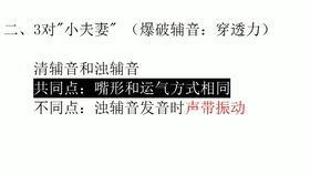 袋鼠用英语怎么说