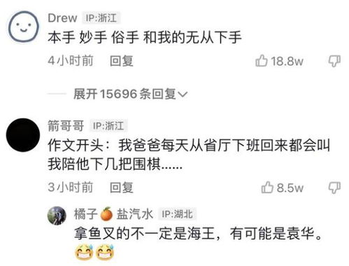 如何是什么意思?