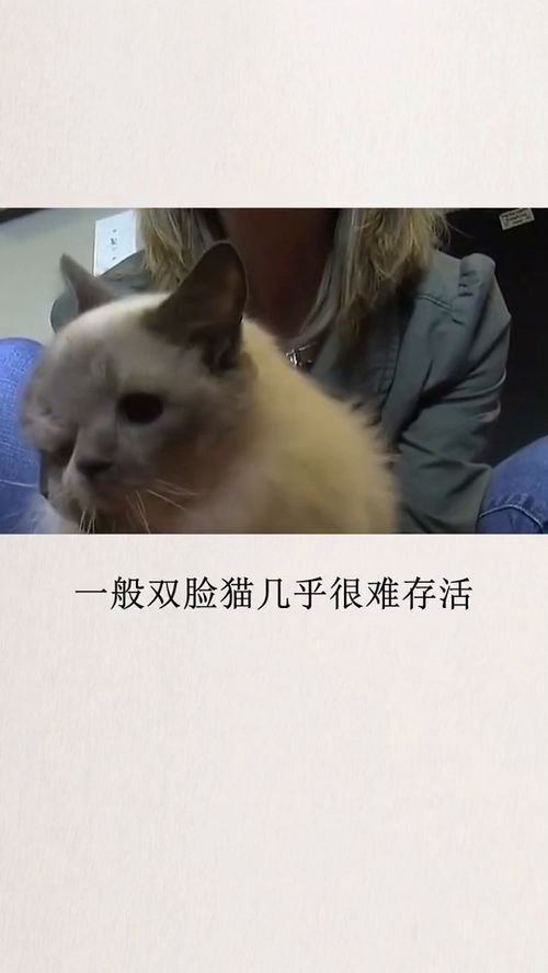 下来用英文怎么说?