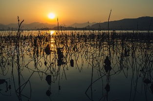 杭州西湖天气预报15天准确率高吗，7月杭州西湖天气预报
