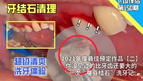 小母牛歇后语 牛b到家了，小母牛歇后语表情包