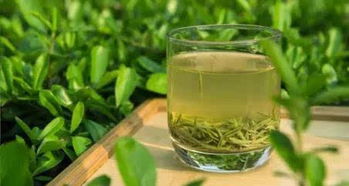 四大名茶是哪四大名茶