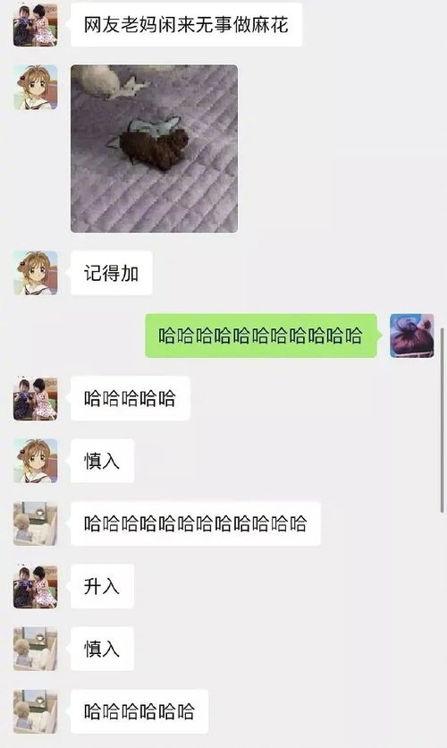 不甘示弱的拼音，不甘示弱是什么生肖