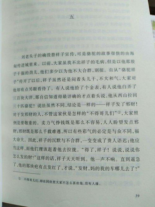 骆驼祥子作文500字，骆驼祥子作文素材积累