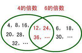 6的倍数的特征答案，6的倍数的特征思维导图