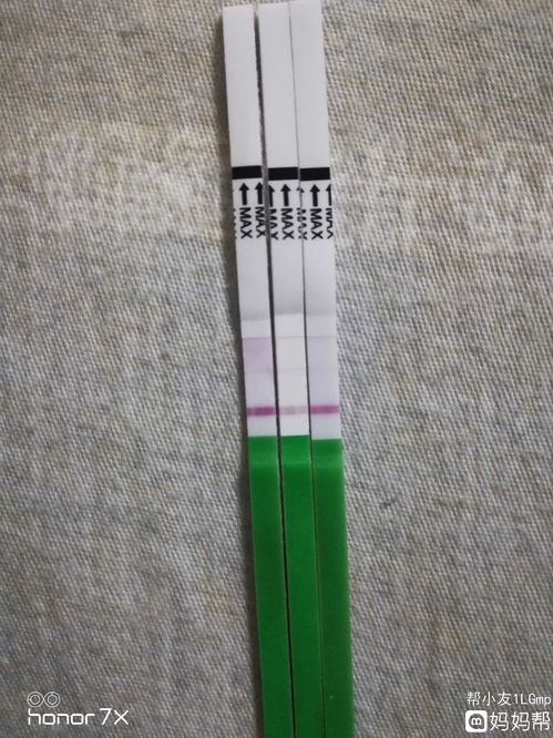 二条麻将，二条城