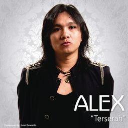 terse音响，terseness