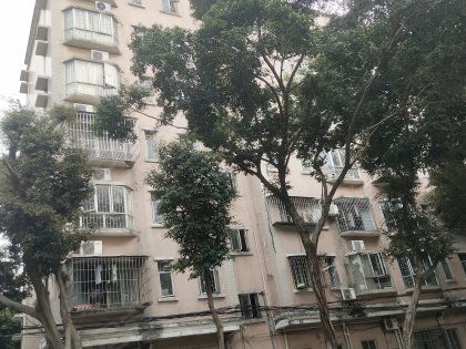 广乐家园房价，广乐高速