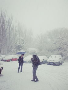 皑皑白雪下一句，皑皑白雪AABC