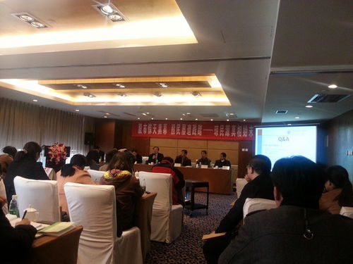 琼民源股票重组之后叫什么，琼民源公司简介