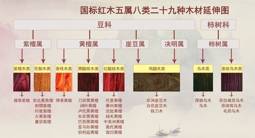 寻什么什么底