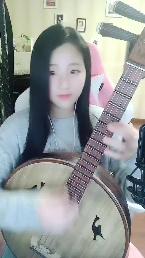 有人知道这是什么乐器吗?