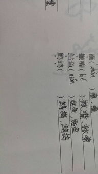 甘蔗的拼音怎么写是什么，甘蔗的读音拼音