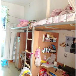 文山学院怎么样，文山学院地址