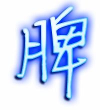脾字的笔顺