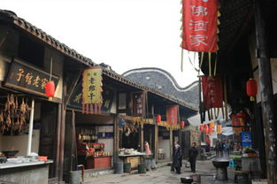 “涞”怎么读