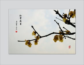 朴实无华的反义词形容人，朴实无华的反义词有哪些