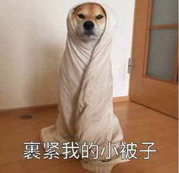 裹,是什么意思?