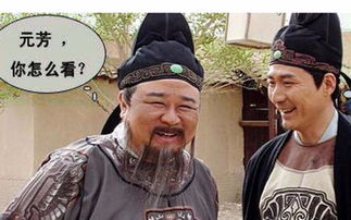 元芳是什么意思啊怎么回，元芳你怎么看下句怎么接