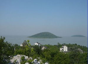 三山岛国家湿地公园在哪儿