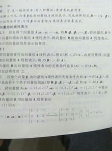代数是什么意思