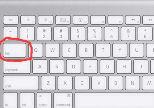 “keyboard”是什么意思?