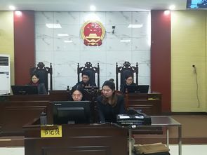 两个案子可以合并审理吗