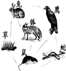 仿生学的例子有哪些10个例子，有关仿生学的例子