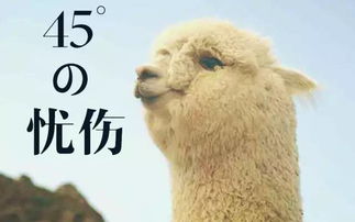 当心里有一万只"草泥马"狂奔而过时…