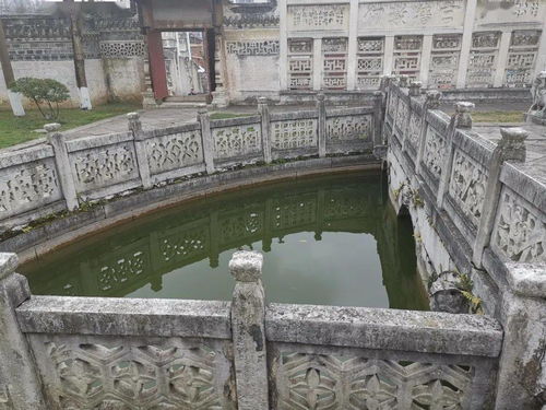 泮池在哪里，泮池桃李