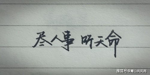 再行与另行有什么区别，再行安排 什么意思