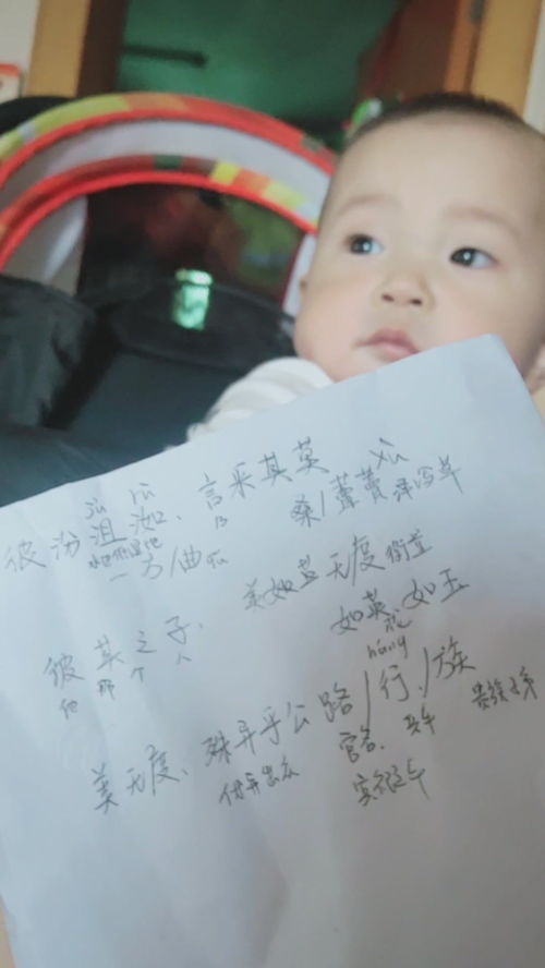 沮洳是什么意思
