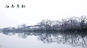 江南的冬景着力描绘了什么图，江南的冬景第八段运用了诗句表达了什么