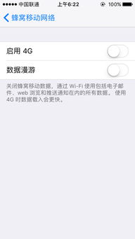 漫游的意思是什么?