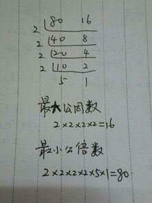 1080的因数，80的因数有哪些数从小到大