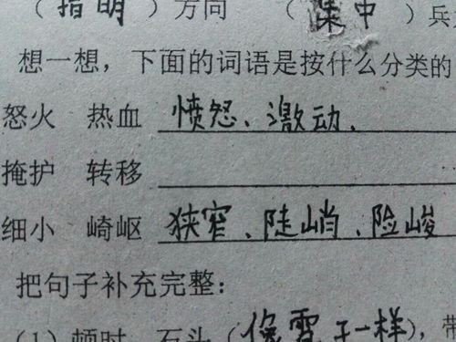 掩护的近义词是什么